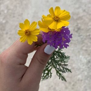 Meet your Posher, Ava